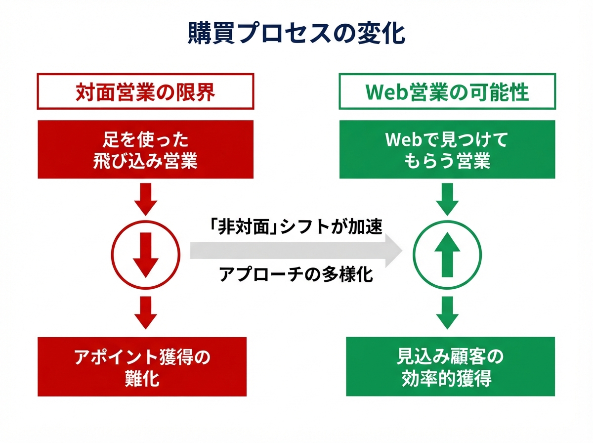 article image 1