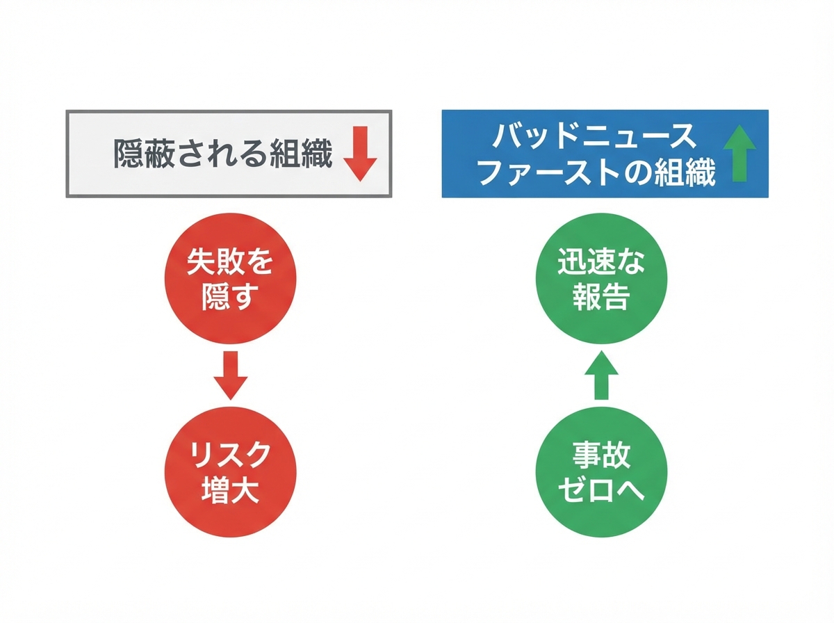 article image 1