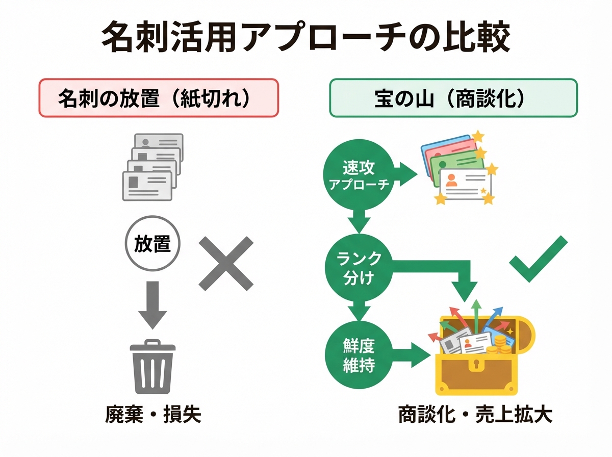 article image 1