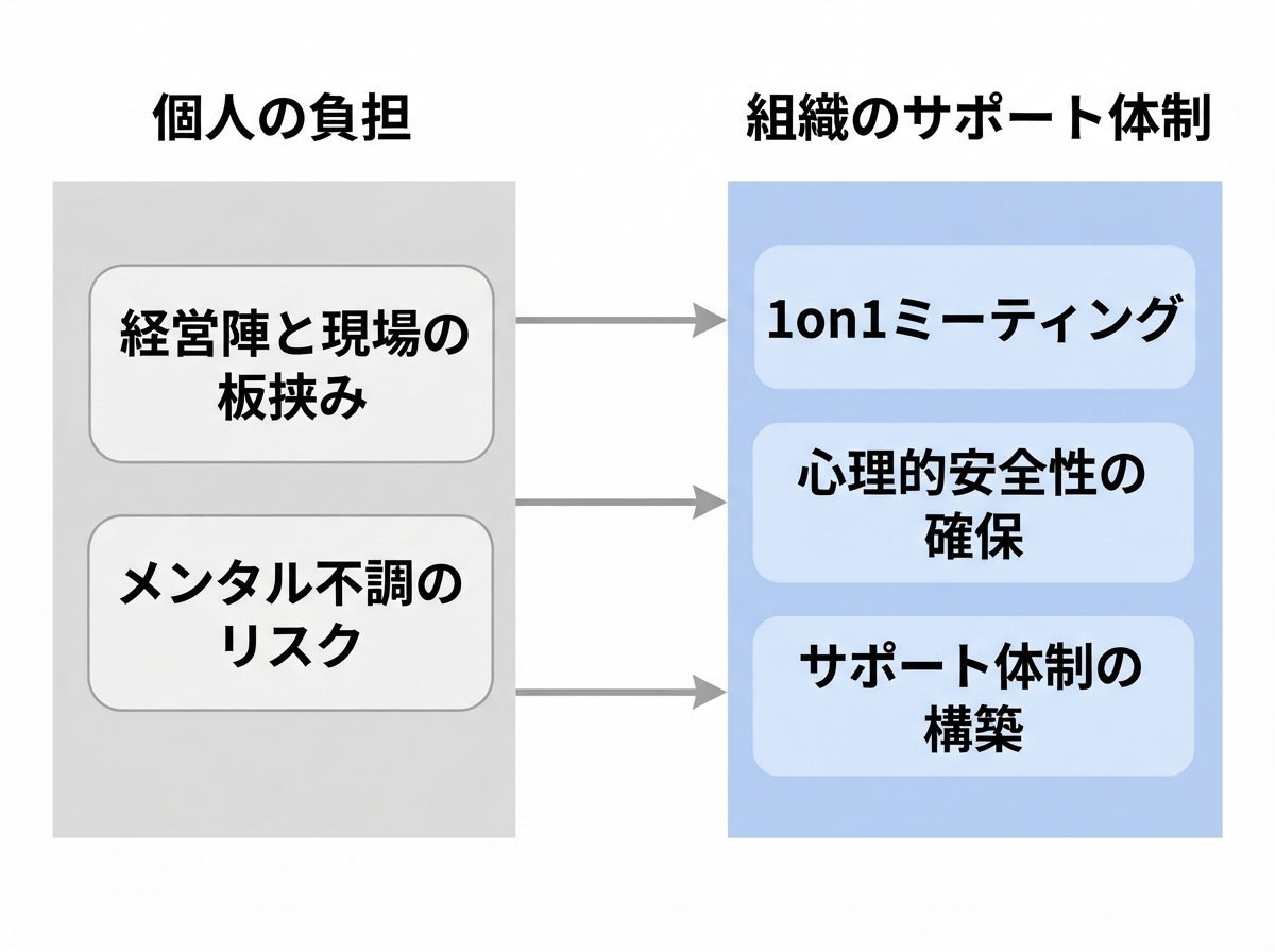article image 2