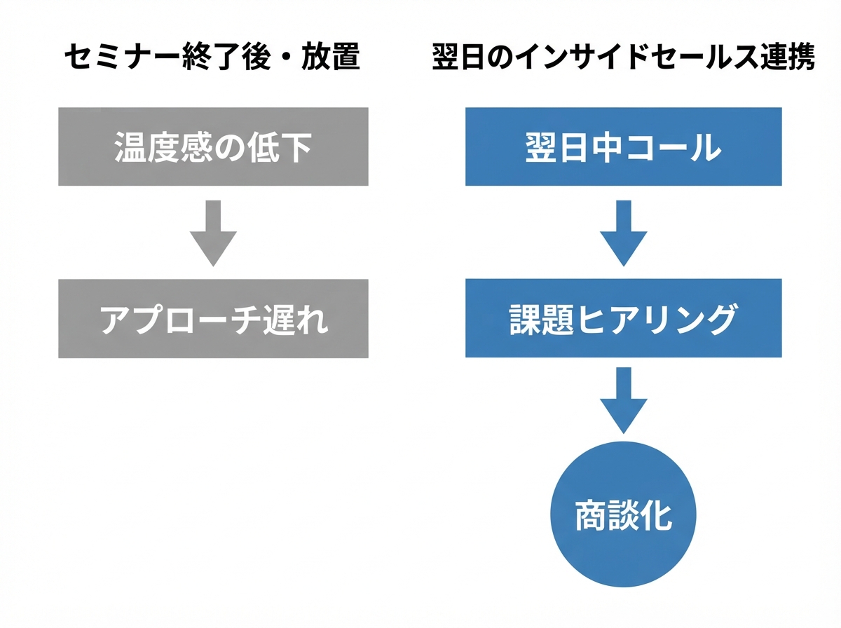 article image 2
