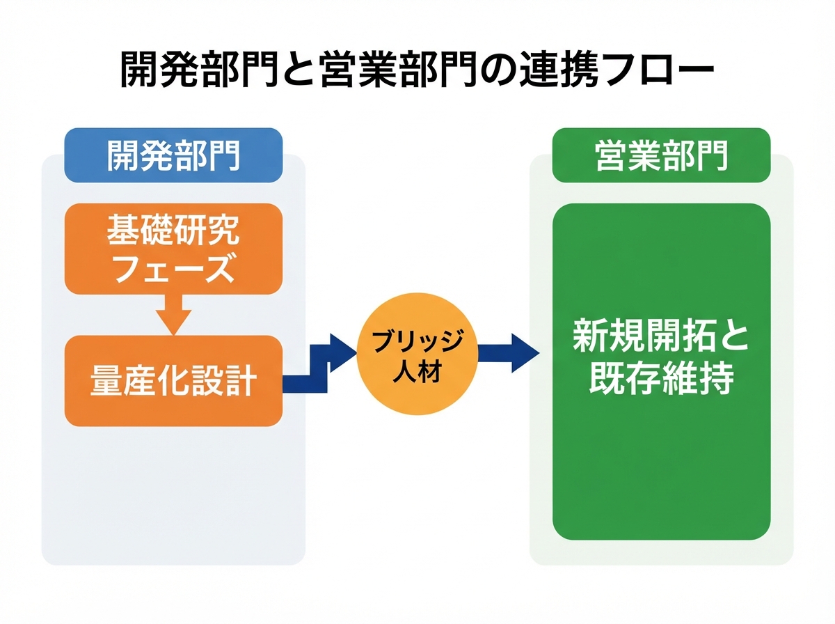 article image 2