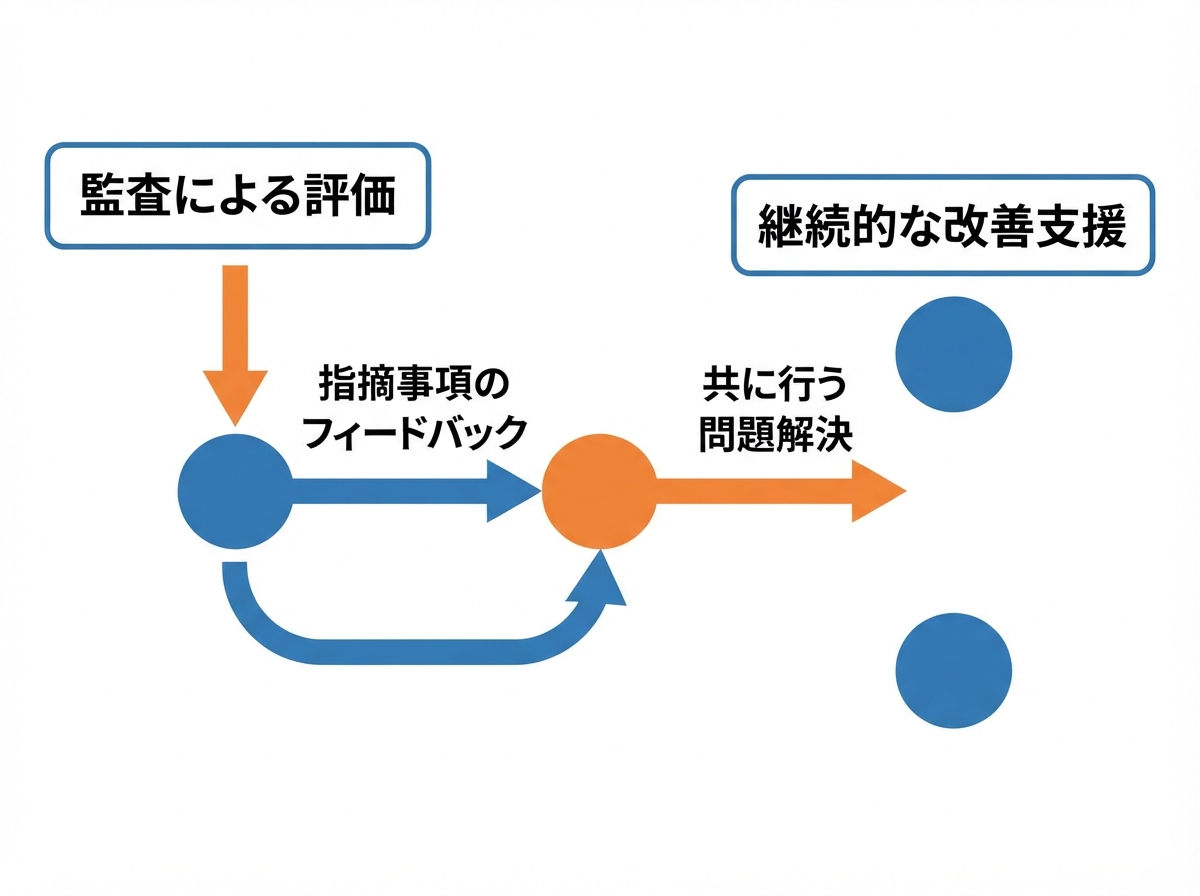article image 3