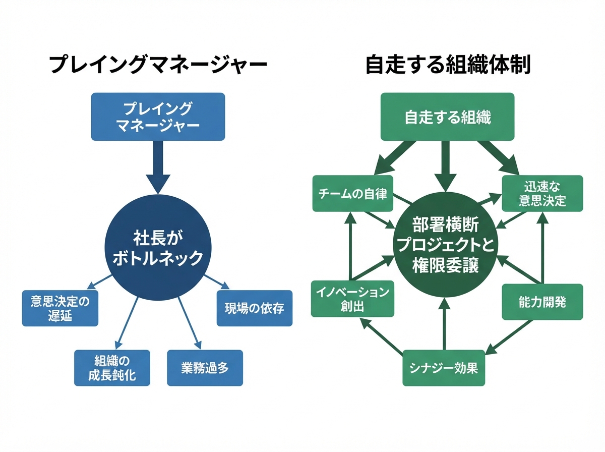 article image 3