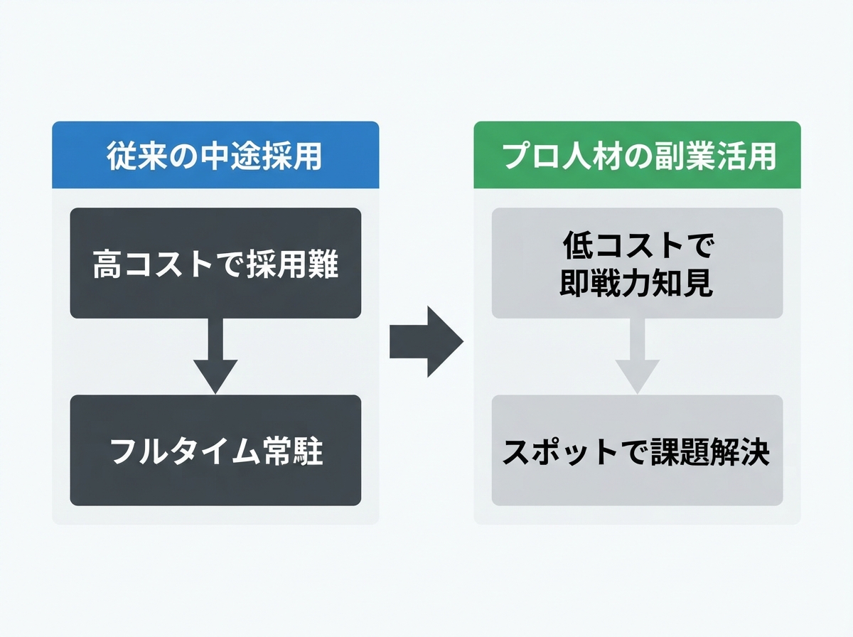 article image 1
