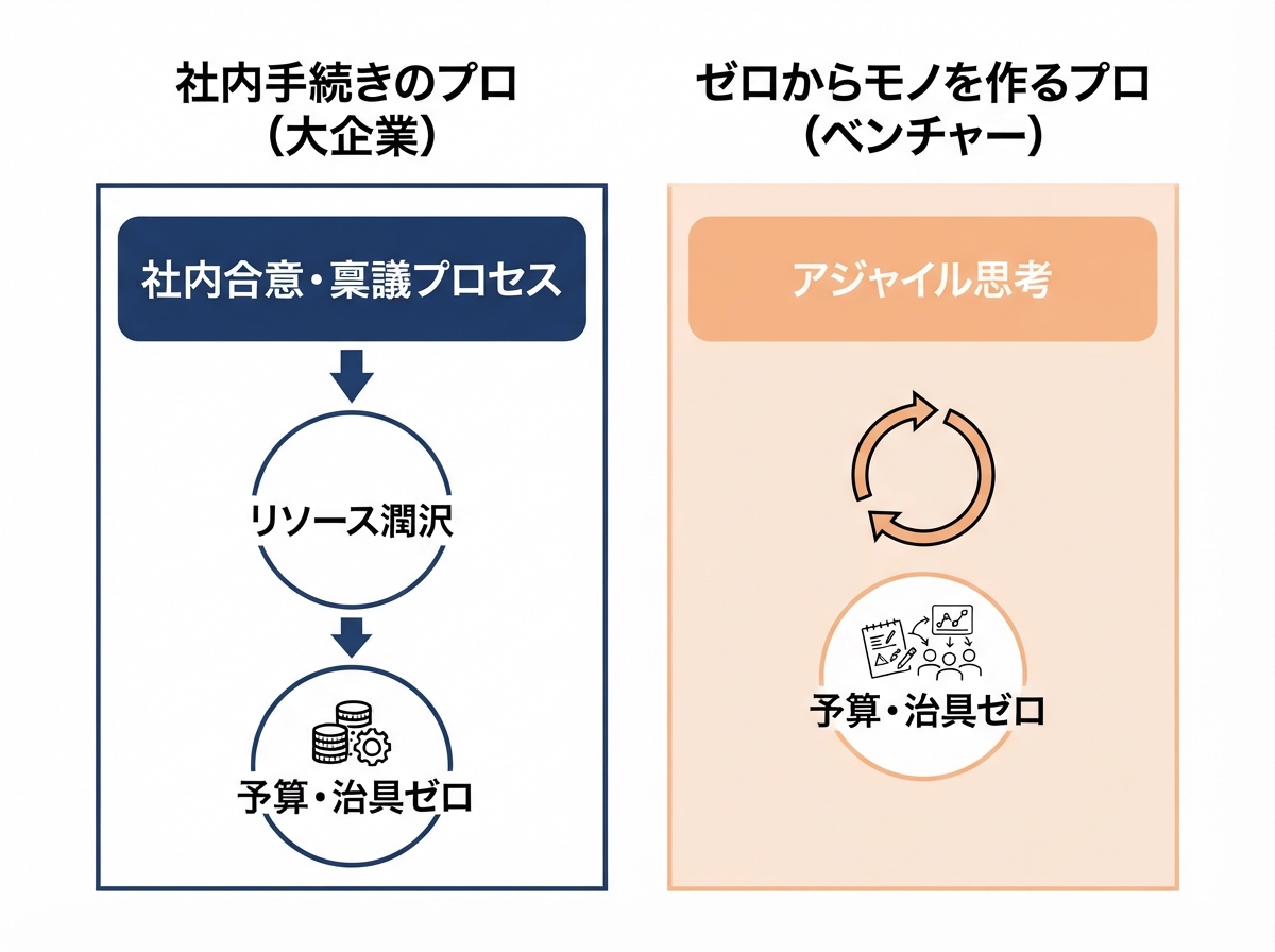 article image 1