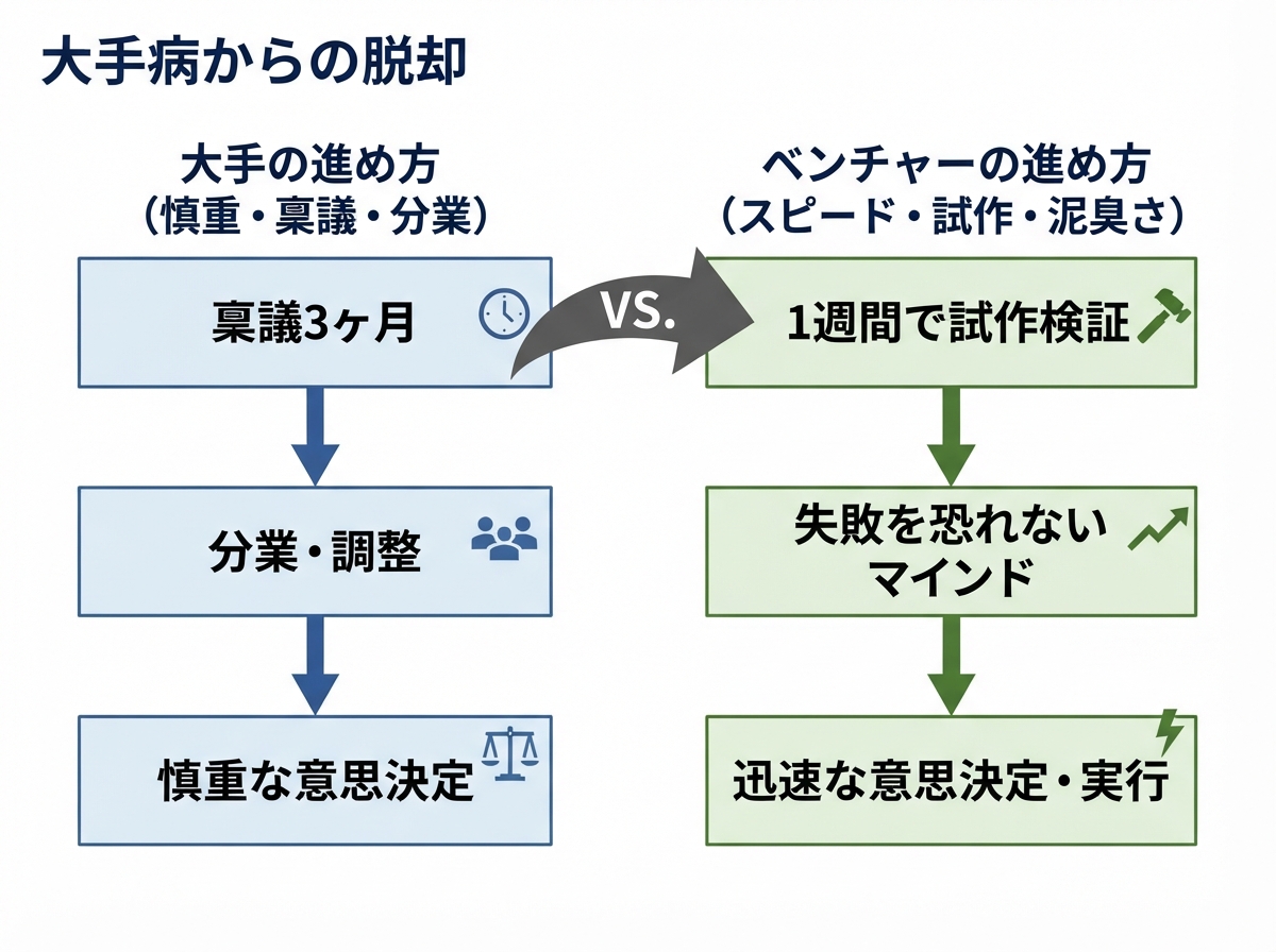 article image 1
