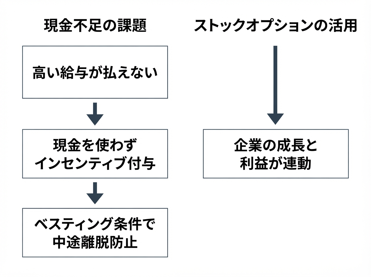 article image 2