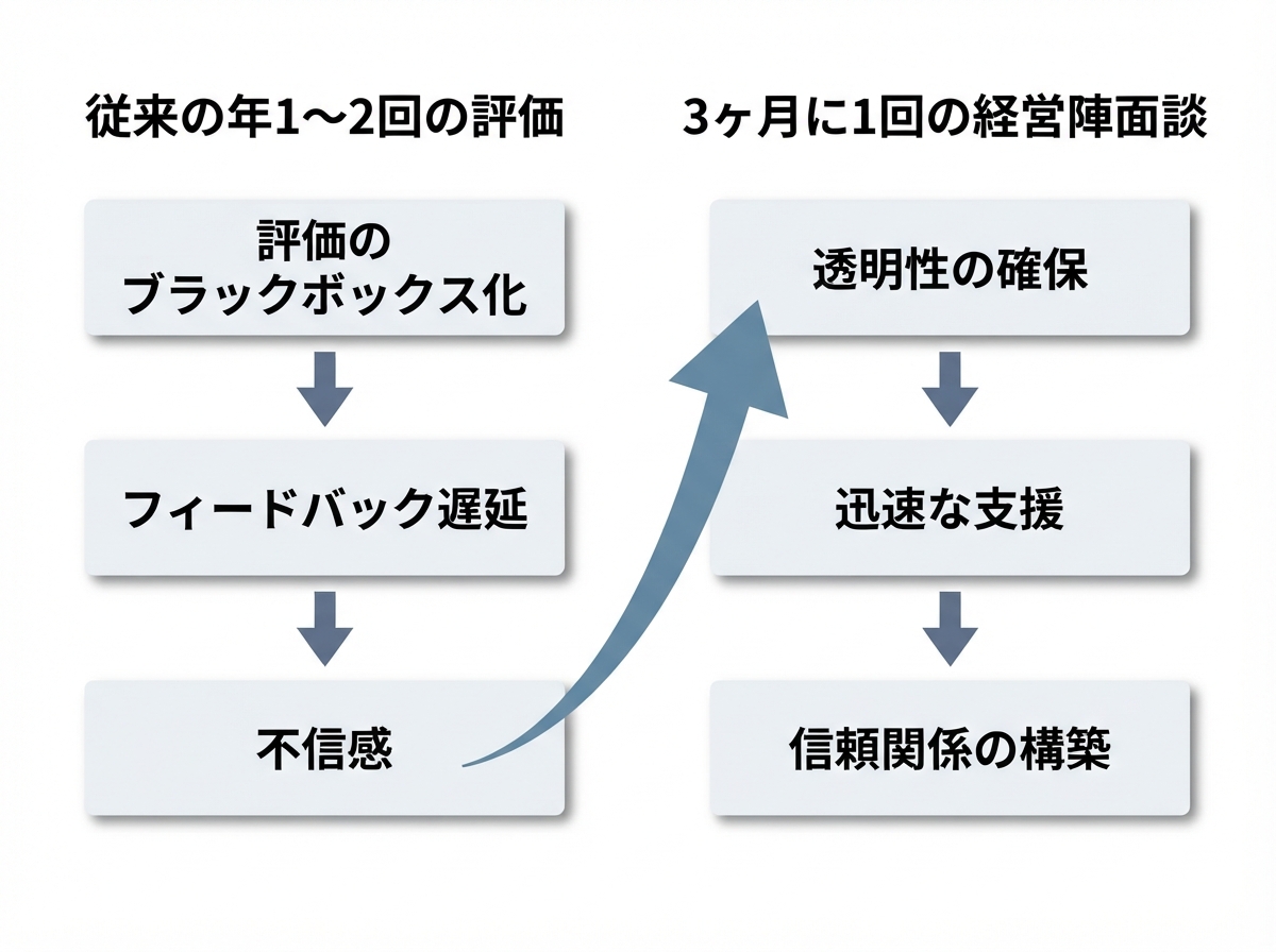 article image 2