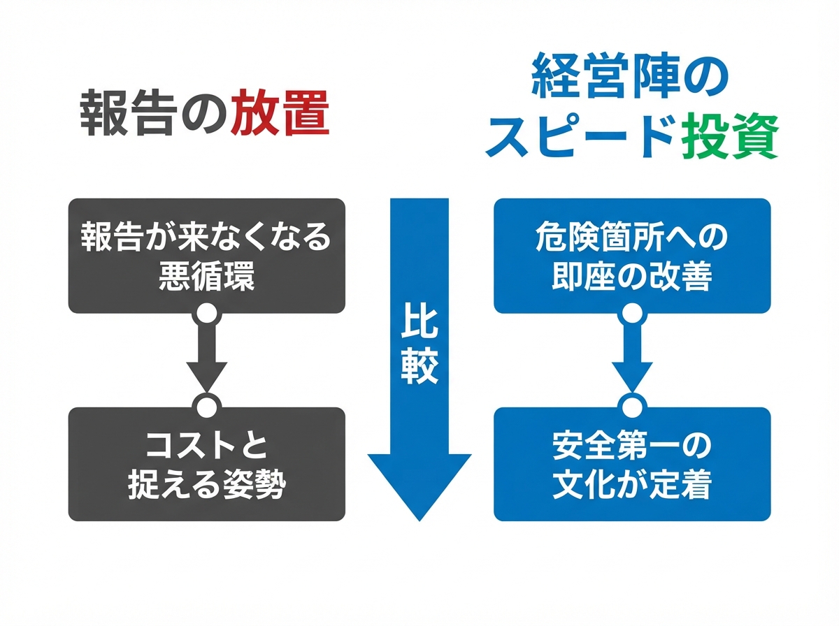 article image 2
