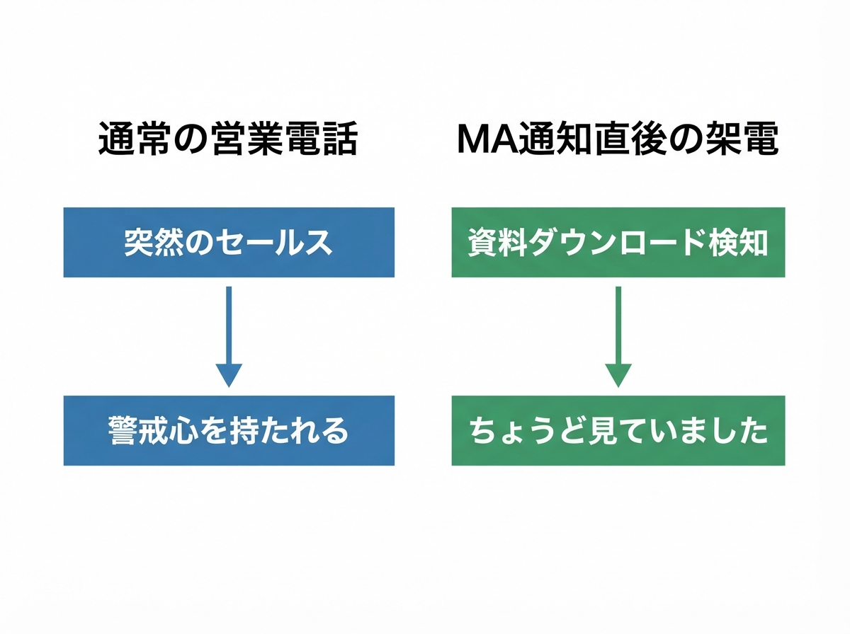 article image 2