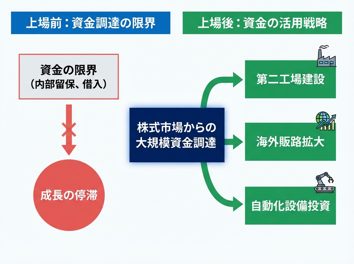 article image 3