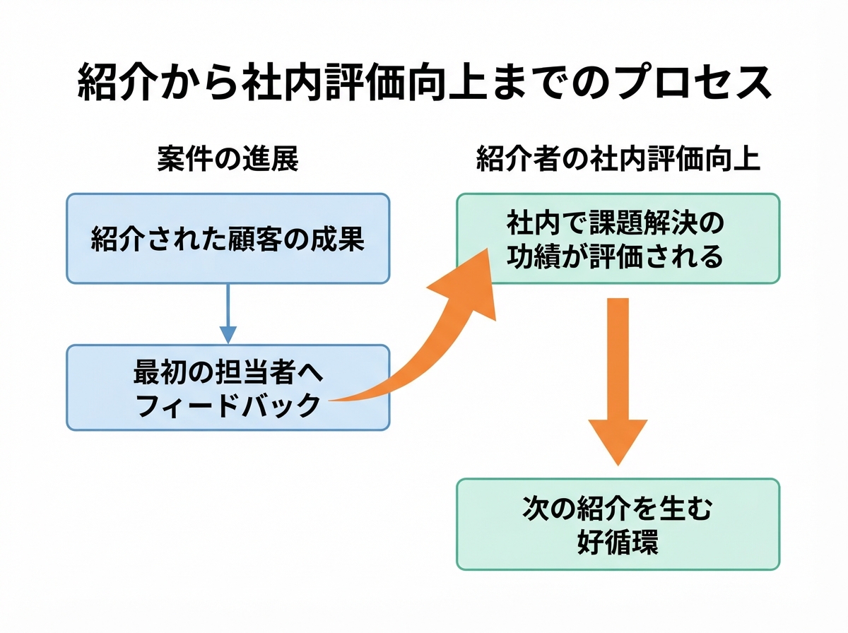 article image 3