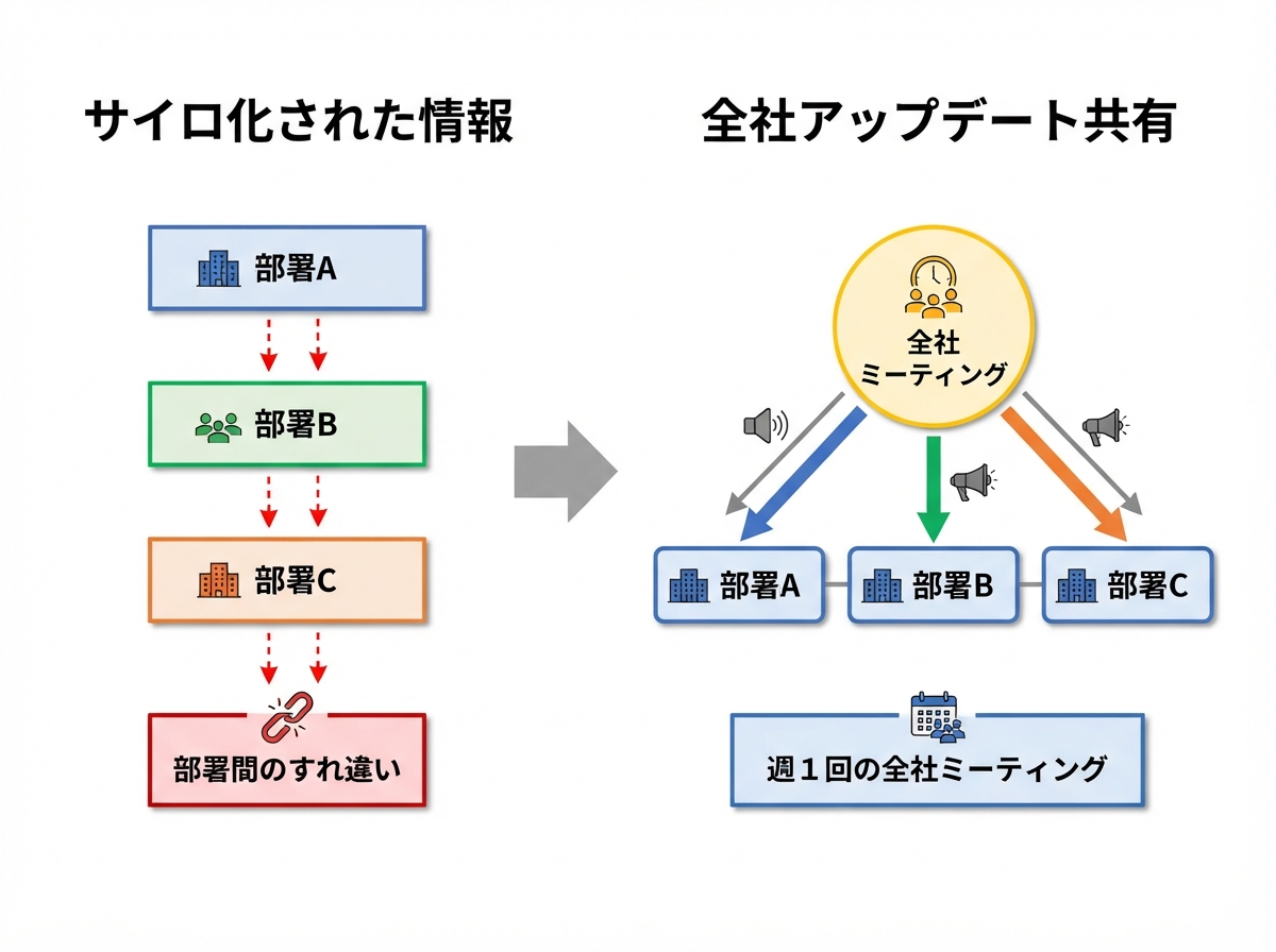 article image 3